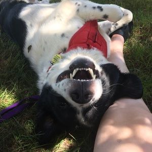 FLASH SALE ⚡️20 % OFF ENTIRE CLOSET!!!⚡️